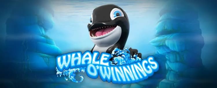 Whale O' Winnings